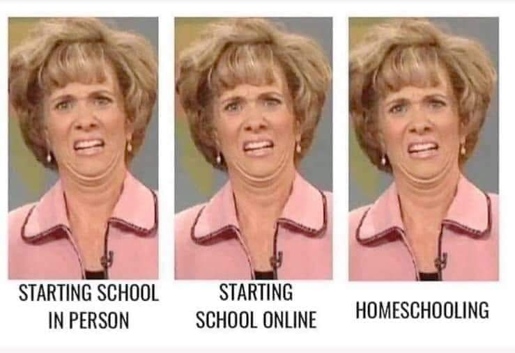 2020-07-20 School choices.jpg
